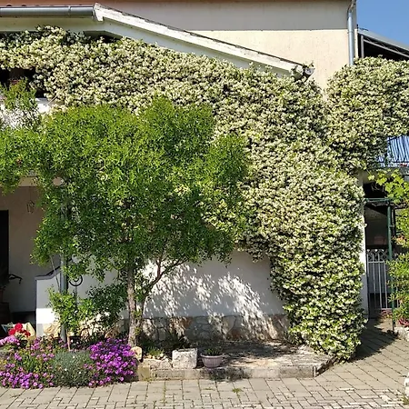 Sasa A2 - Hr-11069-03 By Interhome * Poreč